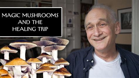 Breaking Down the Stigma: Dispelling Misconceptions About Magic Mushroom Addiction